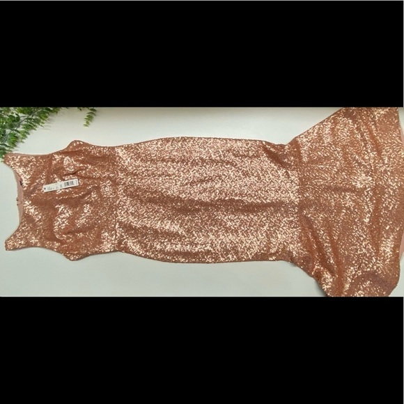 NWT Gianni Bini Juliet Dress Rose Sequin Feminine Fairytale Size 4 - Picture 10 of 17